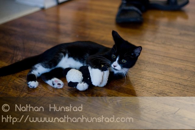 Misha_2008-08-06_IMG_0984